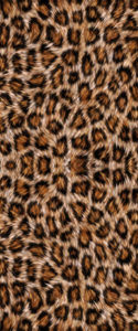 leopard-monique