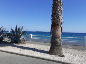 roulotte spectacles 2020 compagnie théâtre de la terre Ariège