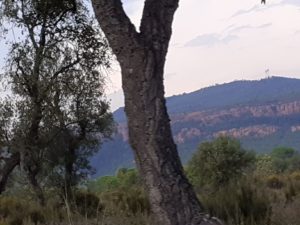 roulotte spectacles 2020 compagnie théâtre de la terre Ariège