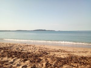 roulotte spectacles 2020 compagnie théâtre de la terre Ariège