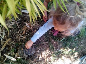 roulotte spectacles archipel; compagnie théâtre de la terre Ariège