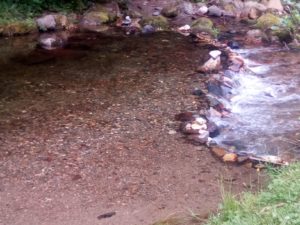 roulotte spectacles archipel; compagnie théâtre de la terre Ariège