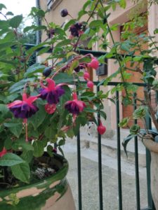 roulotte spectacles 2020 compagnie théâtre de la terre Ariège