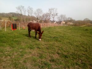 estialescq roulott'spectacle.entre deux mondes compagnie théâtre de la terre ariège.