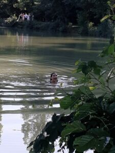 roulott'spectacles 2022 cie theatre de la terre. spectacles Ariège.